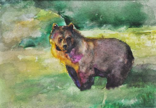 Portret misia obraz malowany akwarelą